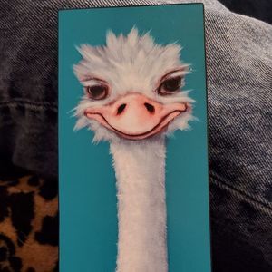 Meet your Posher, Cassy